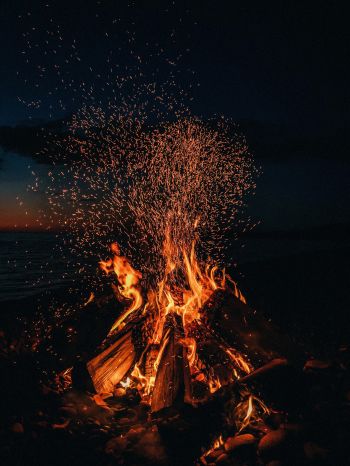 bonfire, fire, sparks Wallpaper 1668x2224