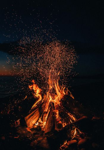 bonfire, fire, sparks Wallpaper 1668x2388