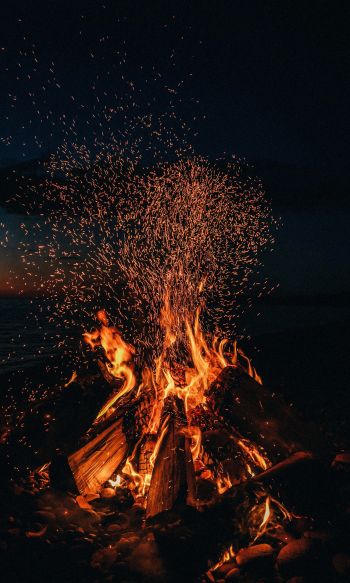 bonfire, fire, sparks Wallpaper 1200x2000