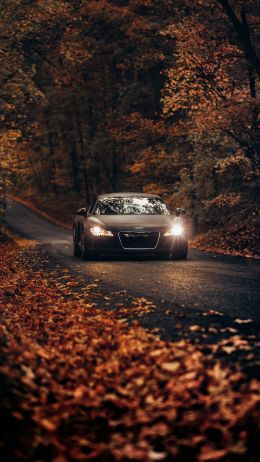 Audi, road, autumn Wallpaper 1440x2560