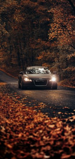 Audi, road, autumn Wallpaper 1440x3040
