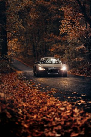 Audi, road, autumn Wallpaper 3648x5472