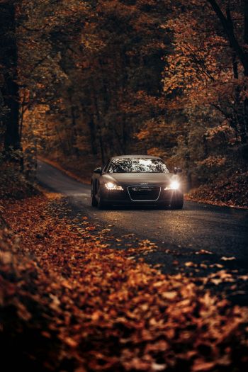 Audi, road, autumn Wallpaper 640x960