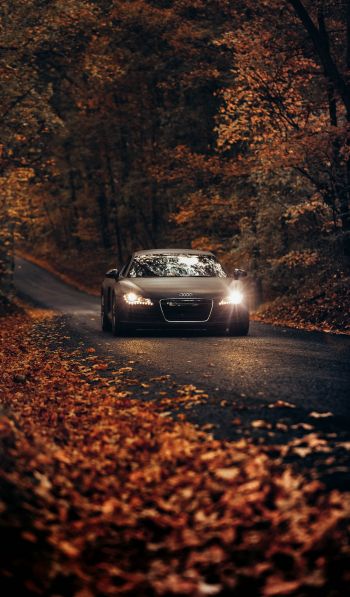 Audi, road, autumn Wallpaper 600x1024