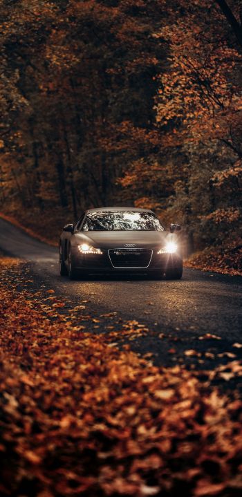 Audi, road, autumn Wallpaper 1080x2220