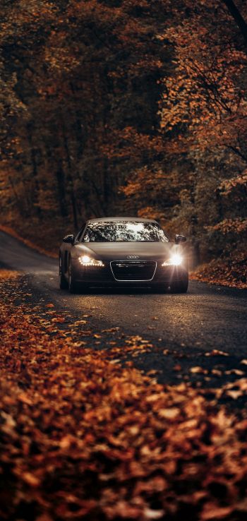 Audi, road, autumn Wallpaper 720x1520