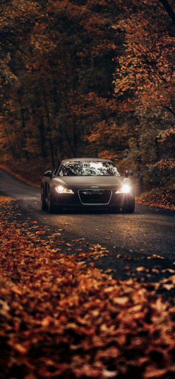 Audi, road, autumn Wallpaper 1284x2778