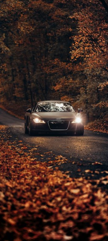 Audi, road, autumn Wallpaper 1440x3200