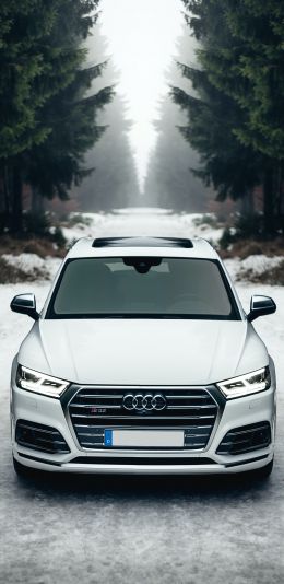 Обои 1080x2220 Audi Q5, зима, белый