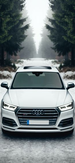 Audi Q5, winter, white Wallpaper 1080x2340