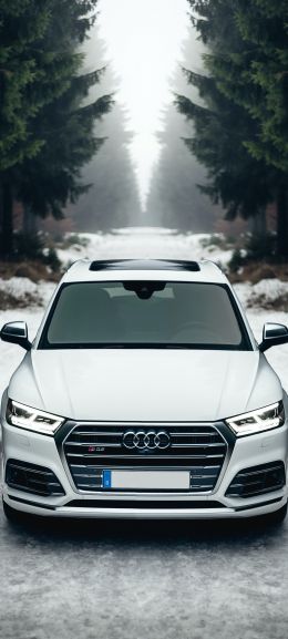 Audi Q5, winter, white Wallpaper 1080x2400