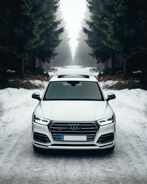 Audi Q5, winter, white Wallpaper 2655x3319