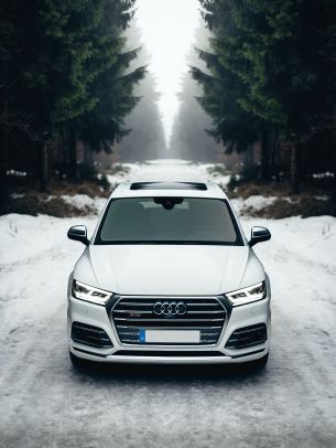 Audi Q5, winter, white Wallpaper 2048x2732