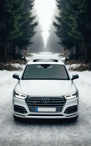 Audi Q5, winter, white Wallpaper 1752x2800