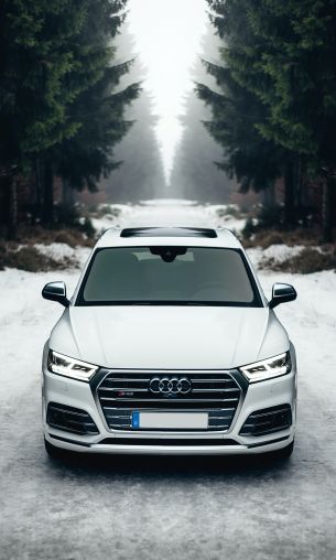 Audi Q5, winter, white Wallpaper 1200x2000