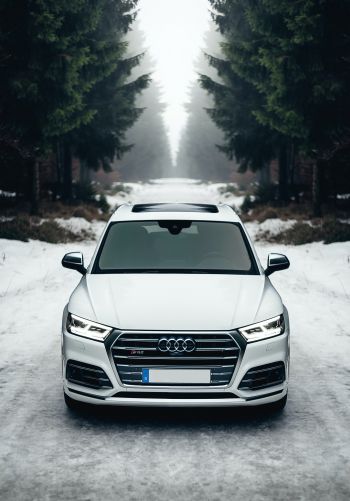 Audi Q5, winter, white Wallpaper 1668x2388