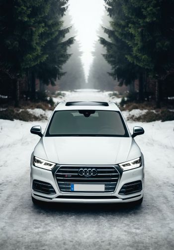 Audi Q5, winter, white Wallpaper 1640x2360