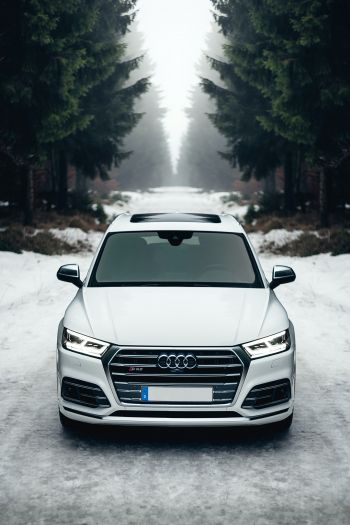 Audi Q5, winter, white Wallpaper 640x960