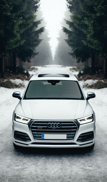 Audi Q5, winter, white Wallpaper 600x1024