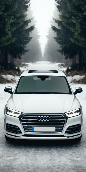 Audi Q5, winter, white Wallpaper 720x1440