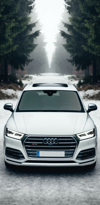 Audi Q5, winter, white Wallpaper 1080x2220
