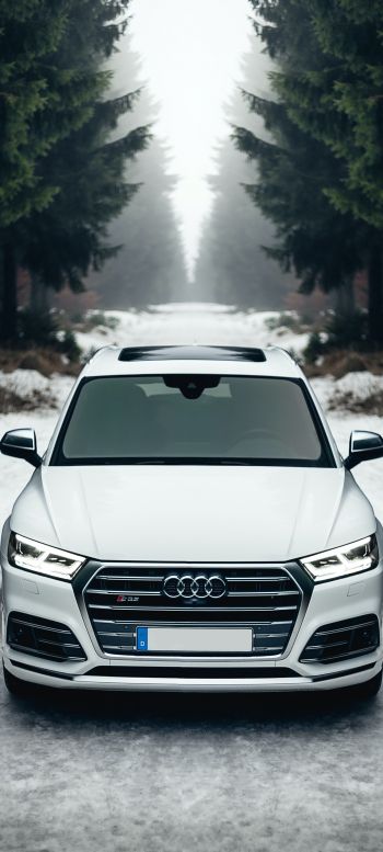 Audi Q5, winter, white Wallpaper 1440x3200