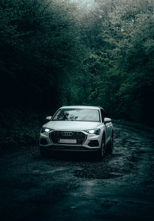 Обои 1640x2360 Audi, дорога