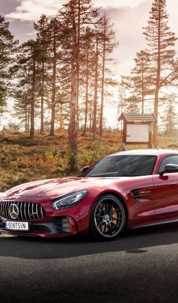 Mercedes-AMG GT, sports car, road Wallpaper 600x1024