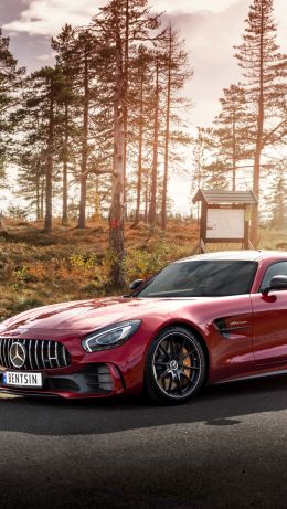 Mercedes-AMG GT, sports car, road Wallpaper 640x1136