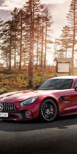 Mercedes-AMG GT, sports car, road Wallpaper 720x1440