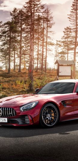 Mercedes-AMG GT, sports car, road Wallpaper 1080x2220