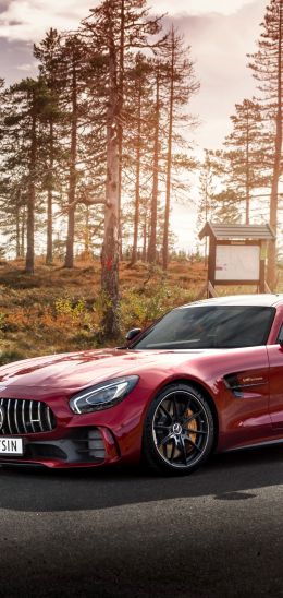 Mercedes-AMG GT, sports car, road Wallpaper 1080x2280