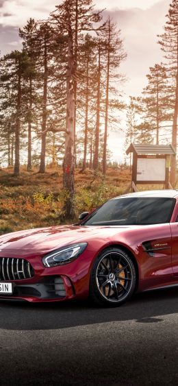 Обои 1080x2340 Mercedes-AMG GT, спортивная машина, дорога