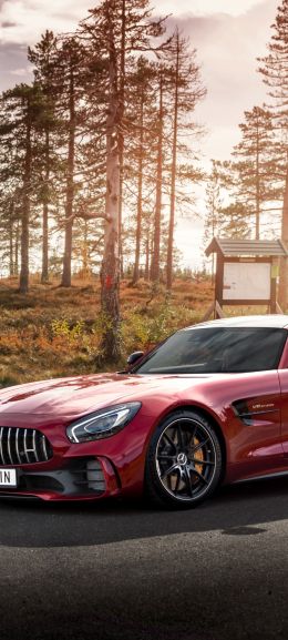 Mercedes-AMG GT, sports car, road Wallpaper 720x1600