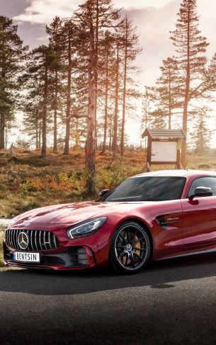 Mercedes-AMG GT, sports car, road Wallpaper 1752x2800