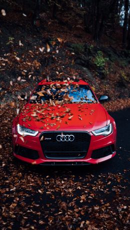 Audi RS 6, autumn Wallpaper 640x1136