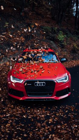 Audi RS 6, autumn Wallpaper 1080x1920