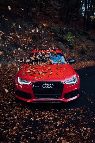 Audi RS 6, autumn Wallpaper 3898x5883