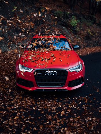 Audi RS 6, autumn Wallpaper 1620x2160