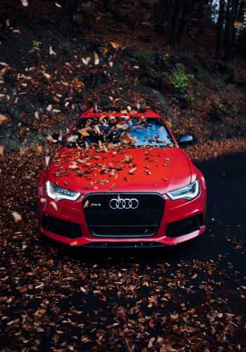 Audi RS 6, autumn Wallpaper 1668x2388