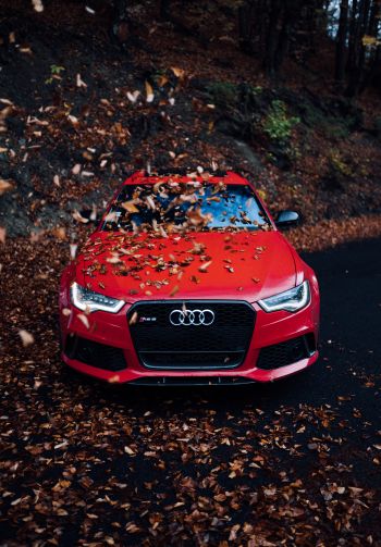 Audi RS 6, autumn Wallpaper 1640x2360