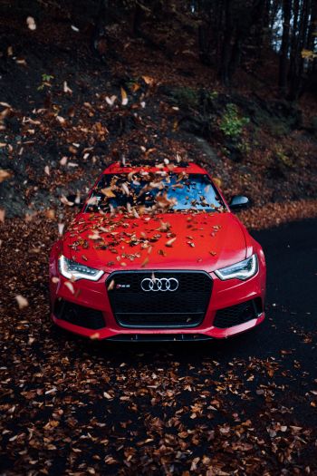 Audi RS 6, autumn Wallpaper 640x960