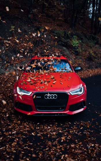 Audi RS 6, autumn Wallpaper 800x1280