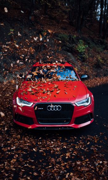 Audi RS 6, autumn Wallpaper 1200x2000