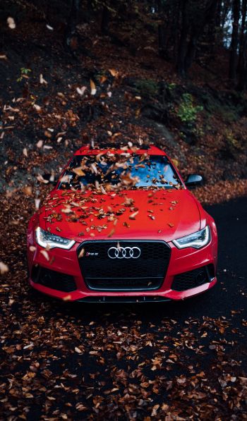 Audi RS 6, autumn Wallpaper 600x1024