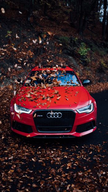 Audi RS 6, autumn Wallpaper 640x1136
