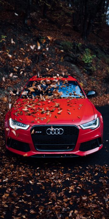 Audi RS 6, autumn Wallpaper 720x1440