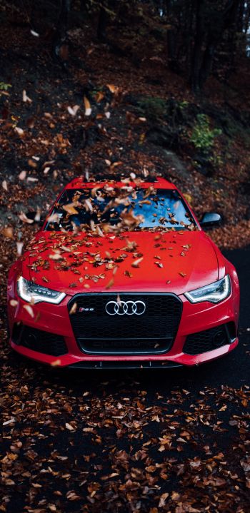 Audi RS 6, autumn Wallpaper 1080x2220