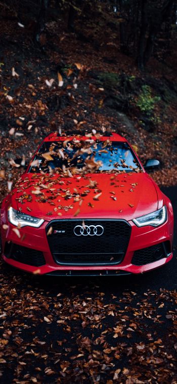 Audi RS 6, autumn Wallpaper 1170x2532