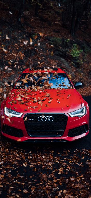Audi RS 6, autumn Wallpaper 1080x2340